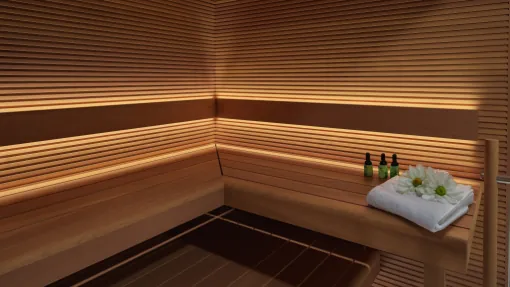 wellness sauna wellness sauna